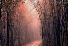 国足曝出重要计划:中国足协做出英明决策,球迷齐声点赞.