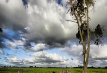 壹号娱乐官网:法甲前瞻:尼斯VS南特 最新精准比分预测.